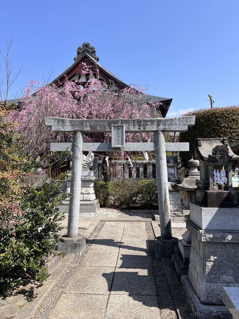由緒